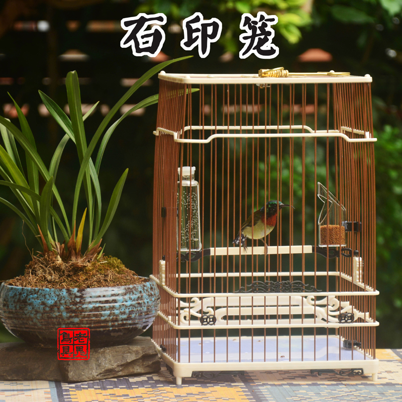 石印笼绣眼金青芙蓉玉鸟杂鸟亮笼
