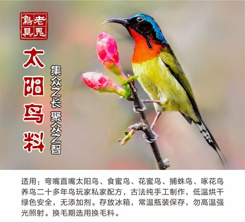 老鬼太阳鸟饲料叉尾蜂鸟蓝喉越南紫喉紫颊啄花鸟保色100克粮食