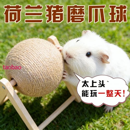 荷兰猪玩具专用豚鼠解闷磨