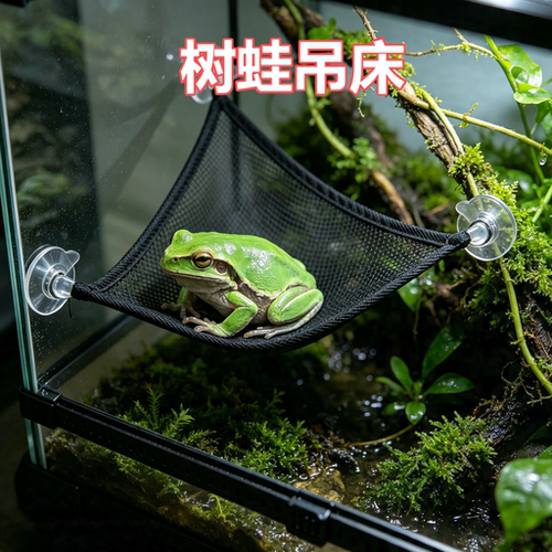 树蛙角蛙专用吊床爬行动物蜥蜴仓鼠小宠物网状玩具悬挂式休息秋千