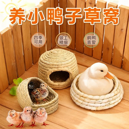 小鸭子的窝养鸡保暖别墅柯