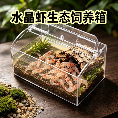 水晶虾专用饲养箱生态缸雨林缸造景缸养殖箱透明展示观赏桌面缸