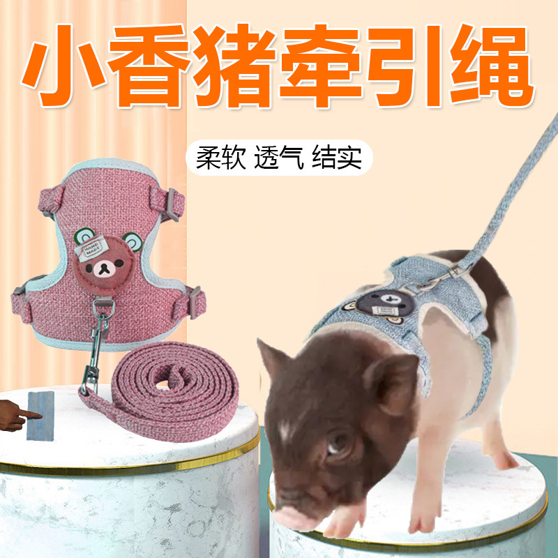 小香猪牵引绳专用溜宠物猪牵引绳遛泰国养小香猪的绳子生活用品,宠物/宠物食品及用品,狗牵引绳,淘宝优惠券,粉丝福利购,淘宝优惠卷