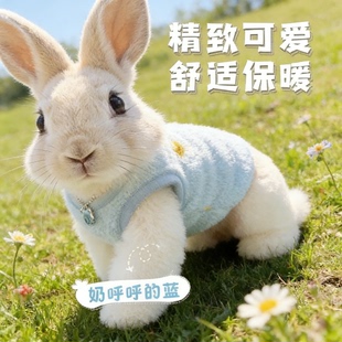 宠物兔子专用衣服秋冬季侏儒幼兔安哥拉垂耳兔冬天防着凉外出用品