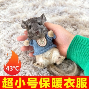 龙猫专用衣服保暖冬天超小号1斤可用宠物松鼠荷兰猪豚鼠穿的棉衣