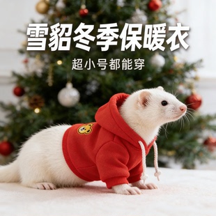 雪貂专用保暖衣荷兰猪小宠物豚鼠龙猫侏儒兔秋冬保暖毛衣超小号