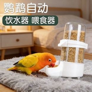 侏儒兔鹦鹉食盒防溅鸟饮水器防撒一体八哥鸽子专用内挂水壶自动喂