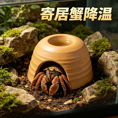 寄居蟹陶瓷窝爬宠屋晒台水碗造景用守宫岩石蛇乌龟躲避洞蜥蜴爬虫