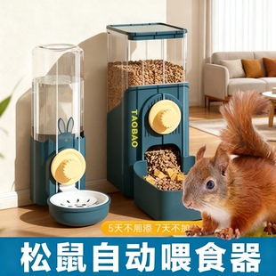 松鼠专用自动喂食器宠物龙猫荷兰猪花枝鼠刺猬饮水器食盆碗喝水壶