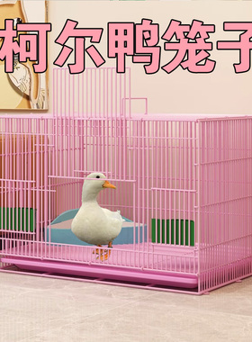 柯尔鸭特大号小黄鸭笼子小鸡大鹅笼子小宠物用品窝自动清粪仓别墅