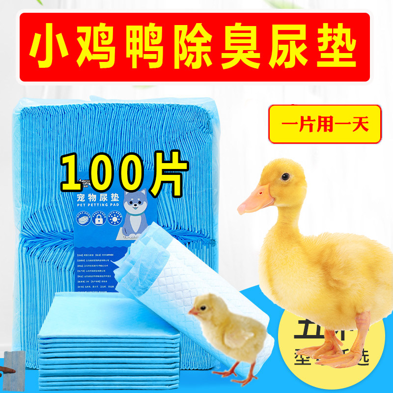 鸭子除臭尿不湿一次性吸水尿垫柯尔鸭小鸡专用品笼子接屎尿粪便垫,宠物/宠物食品及用品,兔兔垫料/尿垫,淘宝优惠券,粉丝福利购,淘宝优惠卷