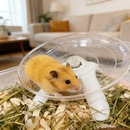 侏儒兔超大号静音仓鼠跑轮金丝熊飞碟跑盘 18cm带支架宠物鼠类玩