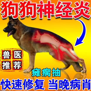 狗狗神经炎专用特效药宠物狗神经修复甲钴胺狗腿后腿无力瘸癫痫药