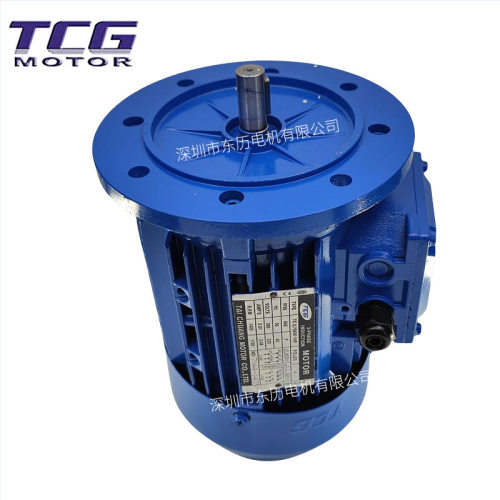 TCG台创电机TC 0.75KW 1HP 380V TAI CHUANG MOTOR三相异步马达