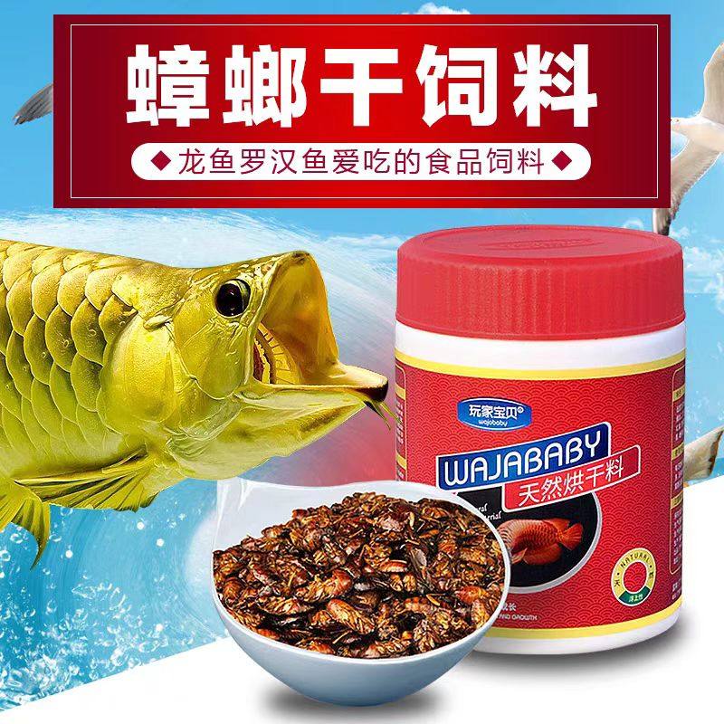 玩家宝贝蟑螂干增色龙鱼饲料