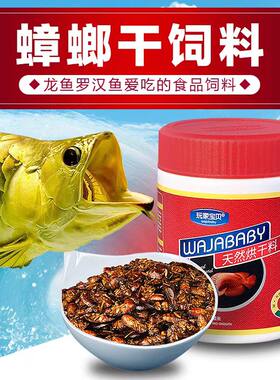 玩家宝贝蟑螂干增色龙鱼饲料