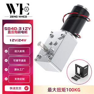5840 24V 31ZY蜗轮蜗杆微型马达大扭力直角调速正反转减速电机12V