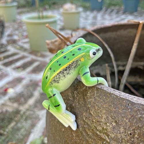 树脂挂盆青蛙不怕晒不怕雨