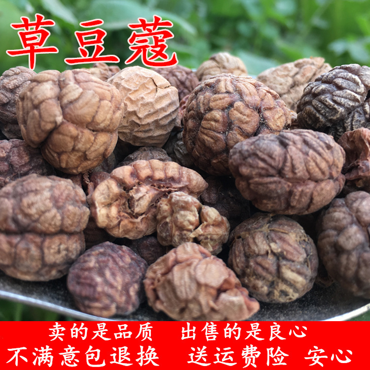 老寇老扣老豆蔻香料草蔻250克 草寇草扣草豆蔻草寇粉草寇仁飞雷子