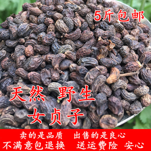 新货野生女贞子鸡腰女贞子中药材500克可搭女贞子茶无硫女贞实干