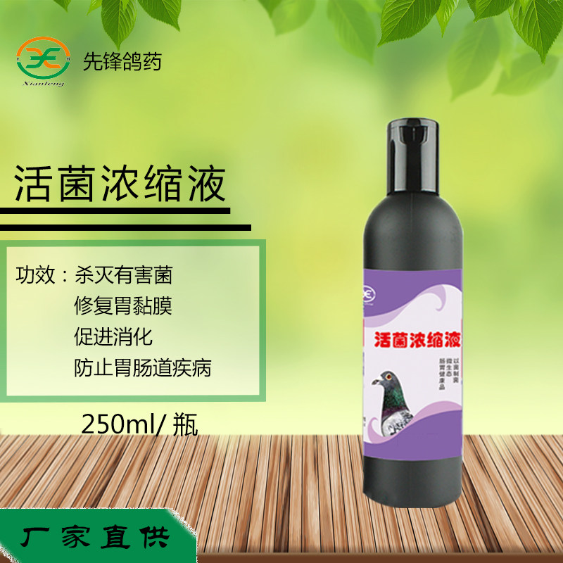 先锋鸽药活菌浓缩液肠道调理灭有害菌鸽子药赛鸽信鸽鹦鹉鸟鸽用品
