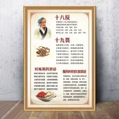 十八反十九畏海报中药配伍禁忌中药煎煮工作制度宣传画中医馆贴画