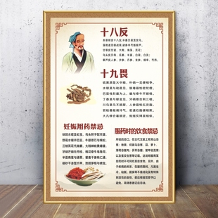 十八反十九畏海报中药配伍禁忌中药煎煮工作制度宣传画中医馆贴画