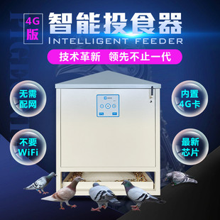 爱鸽者4G版 手机智能自动下料喂鸟器食盒鸟用喂鸟器信鸽赛鸽喂食器