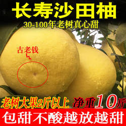精品大果重庆长寿正宗沙田柚水果新鲜白心柚子非梅州容县包邮10斤