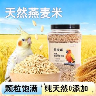 鹦鹉鸟粮食燕麦米燕麦仁虎皮玄凤牡丹小太阳鸟粮食营养种子粮饲料