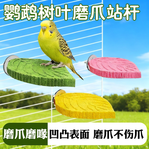 鹦鹉磨砂站杆树叶磨爪站棒啃咬互动玩具虎皮玄凤磨嘴站台鸟笼配件