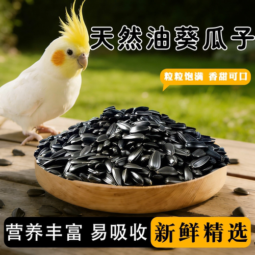 鹦鹉鸟粮油葵瓜子鸟饲料奖励零食玄凤虎皮鹦鹉训练奖励专用鸟粮食