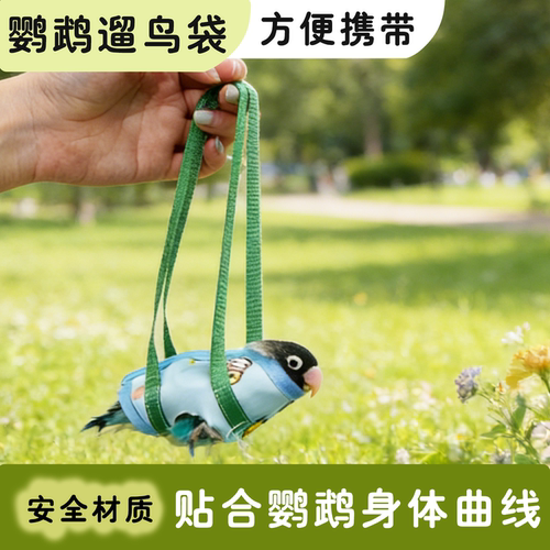 鹦鹉便携外出遛鸟袋手提袋玄凤虎皮牡丹小太阳外出神器鸟服饰