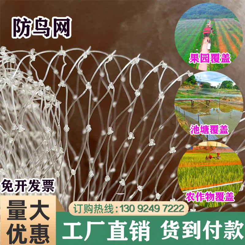 宏盛网业果园防鸟网鱼塘天网丝网