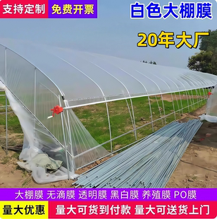 白色大棚膜PO无滴膜长寿温室蔬菜花卉养殖透光保温防雨防晒塑料布