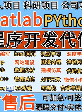 编程服务小程序网页系统程序代写