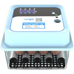 孵化器小型家用迷你孵化机全自动智能孵蛋器 柯尔鸭专用