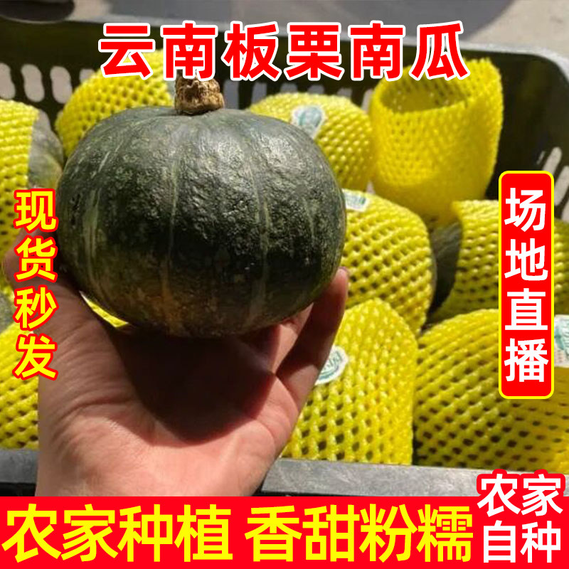 雲南板栗南瓜應季新鮮蔬菜農家自種寶寶輔食粉糯香甜10斤帶箱包郵在類目 水產肉類/新鮮蔬果/熟食, 新鮮水果, 其它中 - 來自Buy2taobao.com提供專業的淘寶代購服務
