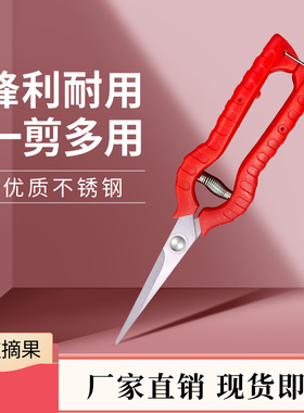 花园园艺剪刀不锈钢摘果剪强力疏果剪省力采果剪修枝剪轻型盆景剪