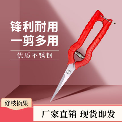 花园园艺剪刀不锈钢摘果剪强力疏果剪省力采果剪修枝剪轻型盆景剪