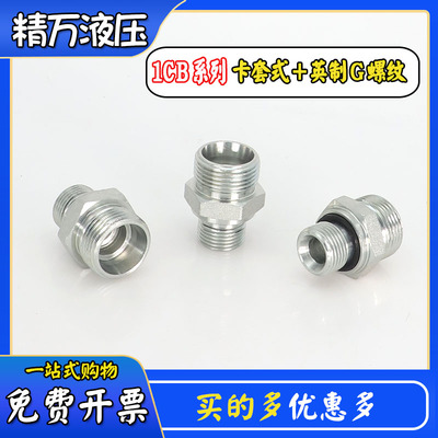 液压过渡接头H型24度锥卡套英制ED圈胶垫密封1CB直通轻型永华标准