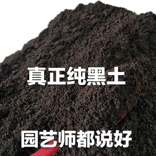 原生态黑土腐叶土养花种菜