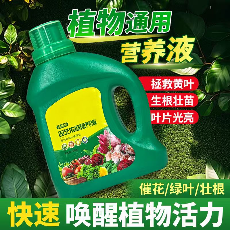 植物营养液通用型肥料水培植物营养液植物盆栽多肉绿萝液体花肥