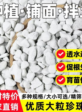 大颗粒珍珠岩透气盆栽营养土