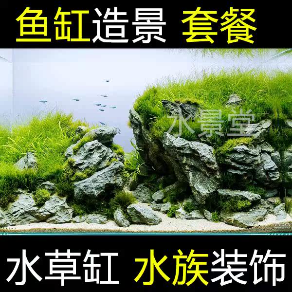 鱼缸装饰 青龙石套餐 生态缸造景 鱼缸装饰套装 沉木造景套餐 鱼