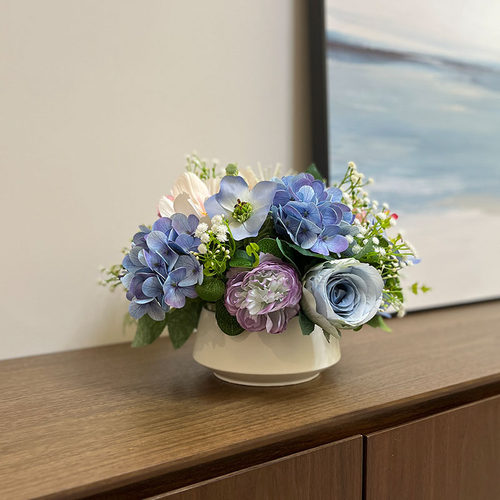 放冰箱顶空调顶餐桌上的盆花