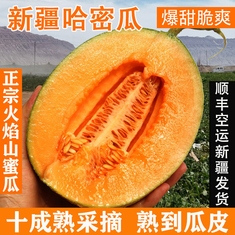 正宗新疆哈密瓜新鲜水果应当季西州蜜25网纹脆甜蜜瓜整箱顺丰包邮