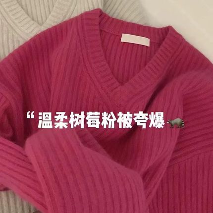 树莓色v领浣熊绒毛衣女秋冬加厚软糯内搭针织衫高级感超好看上衣