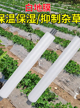 PWS白色地膜农用保温保湿蔬菜大棚种植防草地膜耐拉扯塑料小拱棚