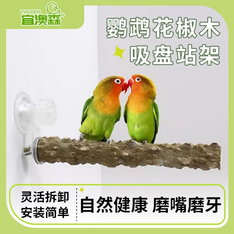 鹦鹉花椒木吸盘站架子站杠站棍磨爪玄凤虎皮专用鸟用墙面玻璃站
